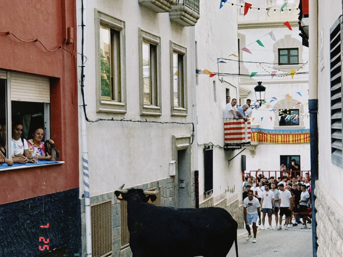 La España del ‘chimpún’