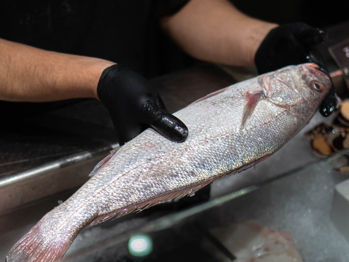 Materia Prima, la última sobremesa de&nbsp;agosto