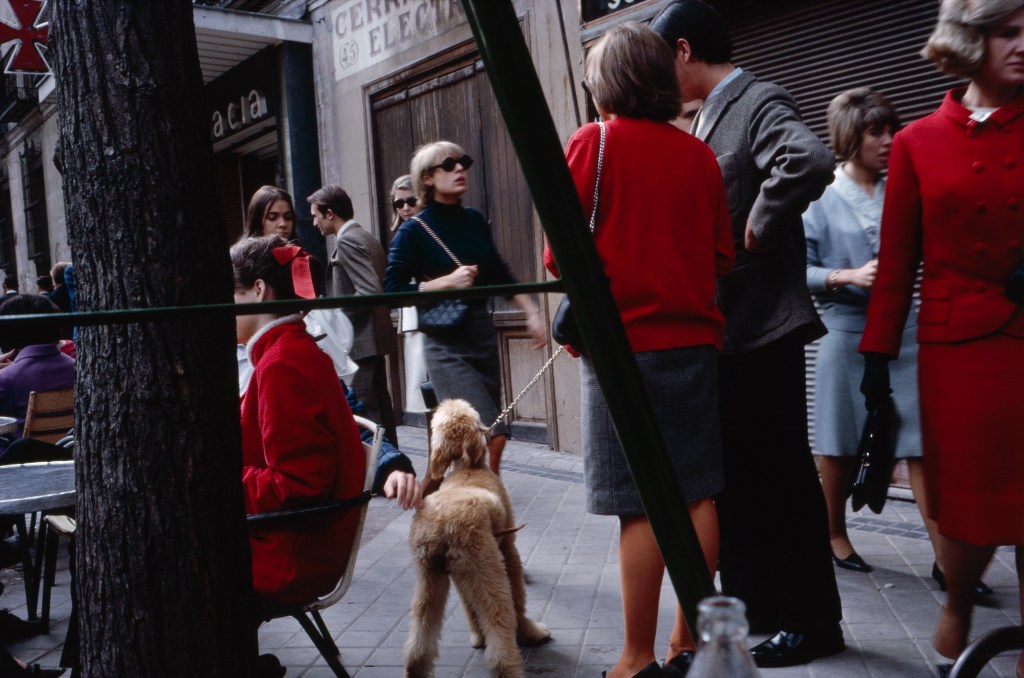 Leica: un viaje por cien años de arte, emoción y&nbsp;legado