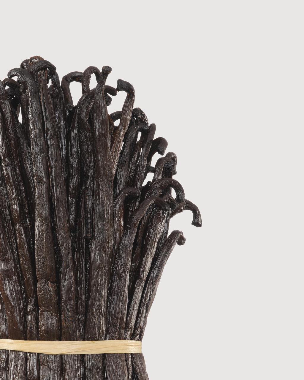 Esta es la fragancia de vainilla (que no huele a vainilla) que pone de acuerdo a boomers, millennials y Gen&nbsp;Z