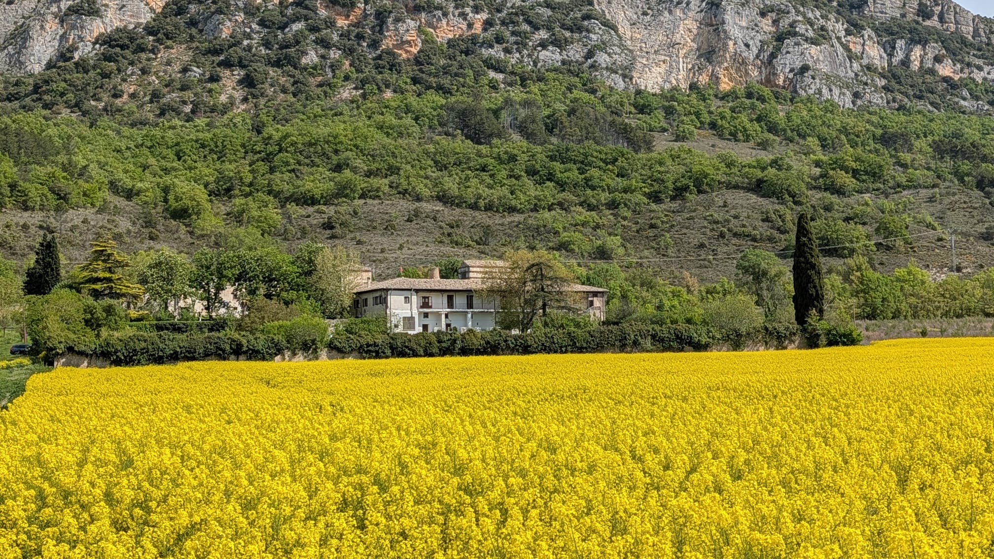 De residencia de la reina Fabiola a referente artístico: así renace el Palacio de Elío