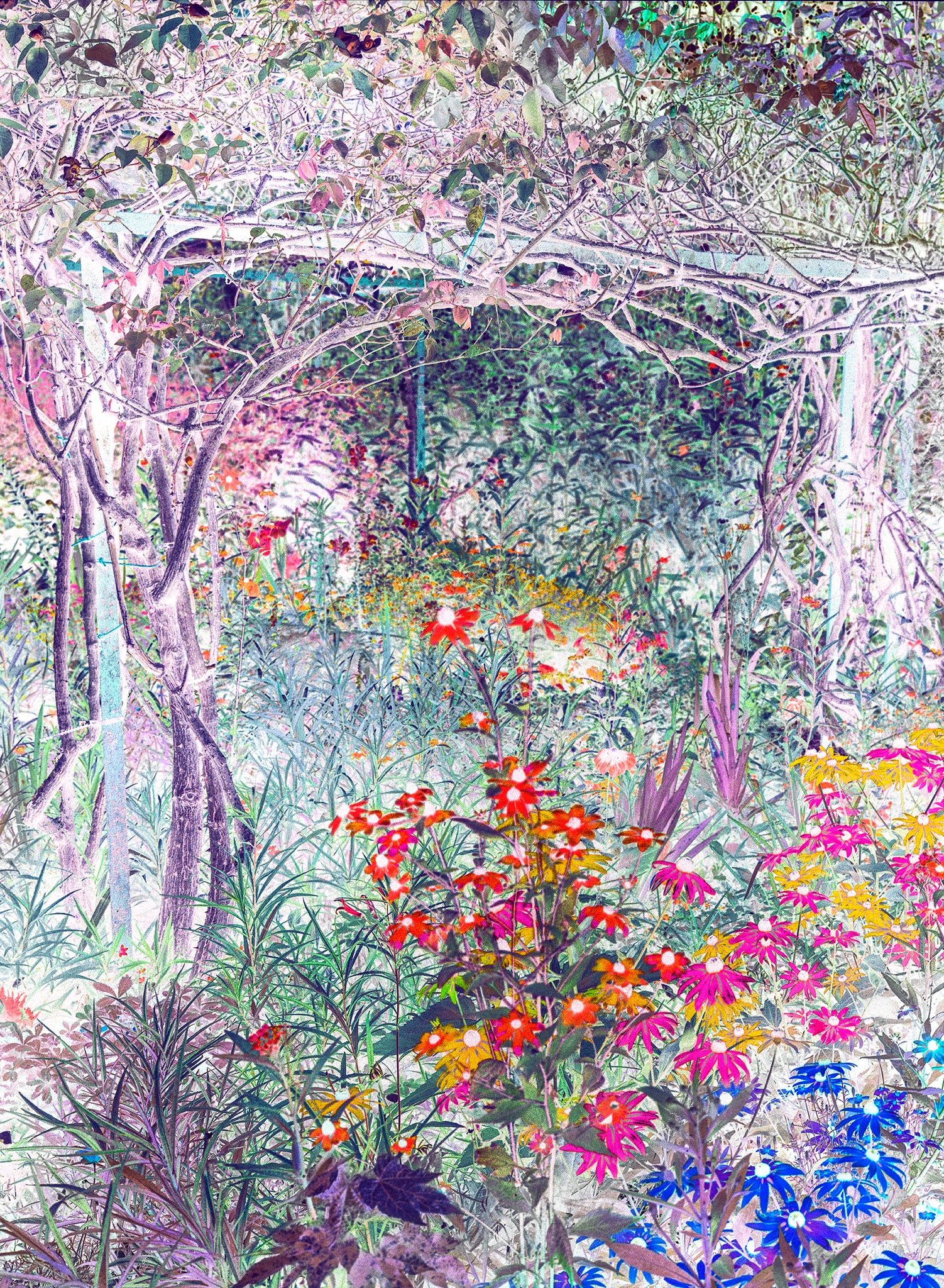 José Quintanilla reinterpreta el universo de Monet con Giverny 2.0